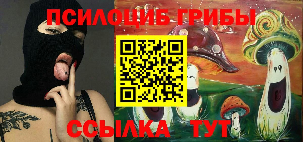 Галлюциногенные грибы GOLDEN TEACHER Рубцовск
