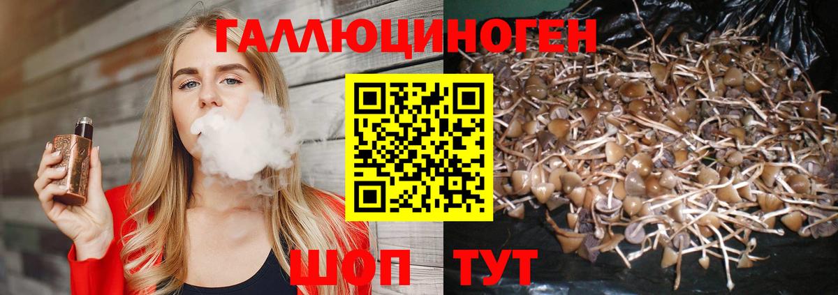 Галлюциногенные грибы GOLDEN TEACHER  Вход с VPN  Псилоцибиновые грибы Cubensis  Рубцовск 